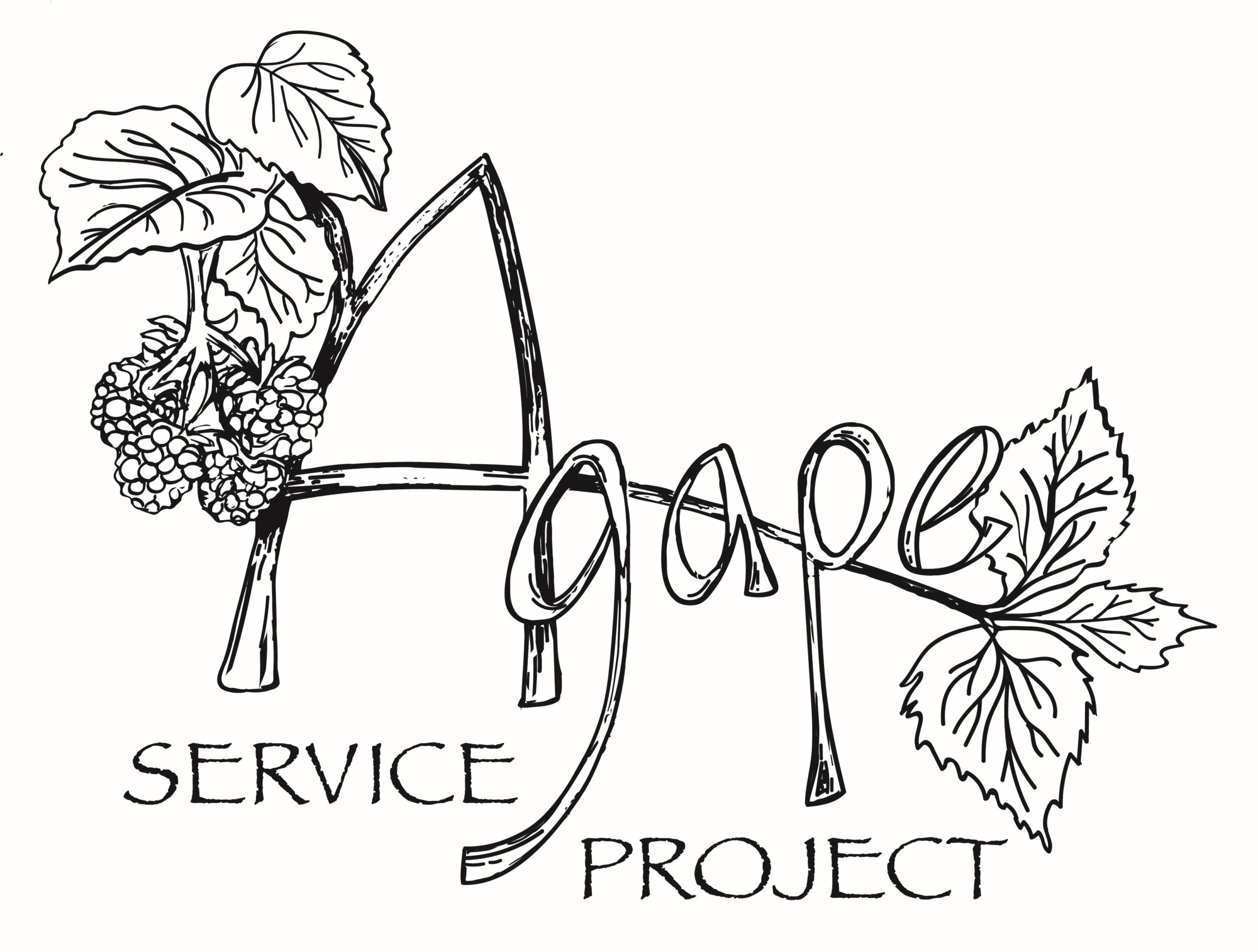 agape, logo, service, raspberries
