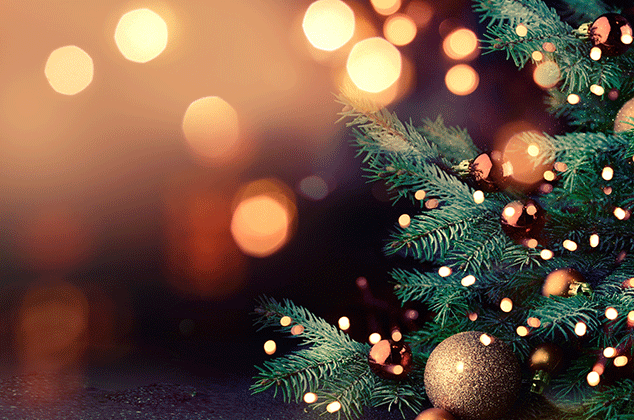 Christmas traditions 2023 image of Christmas tree